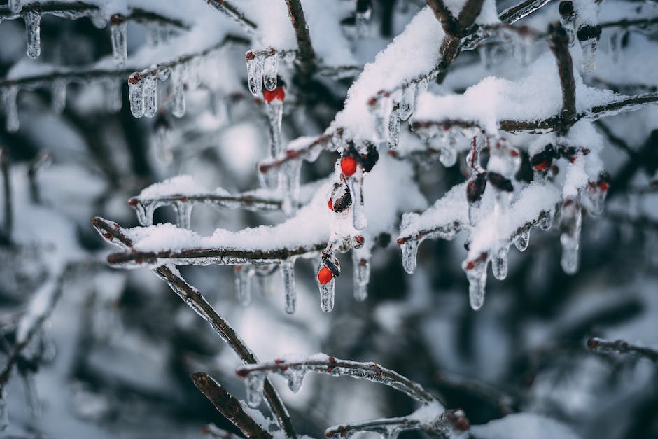  Weihnachten in Italien feiern